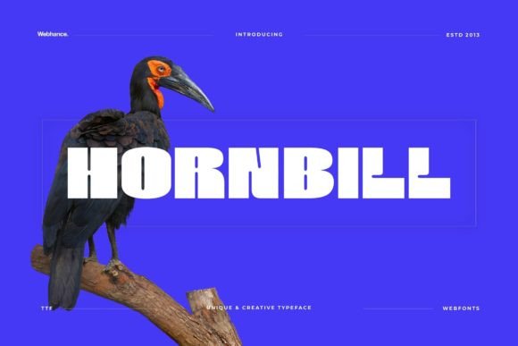 Hornbill Font for Bold Branding